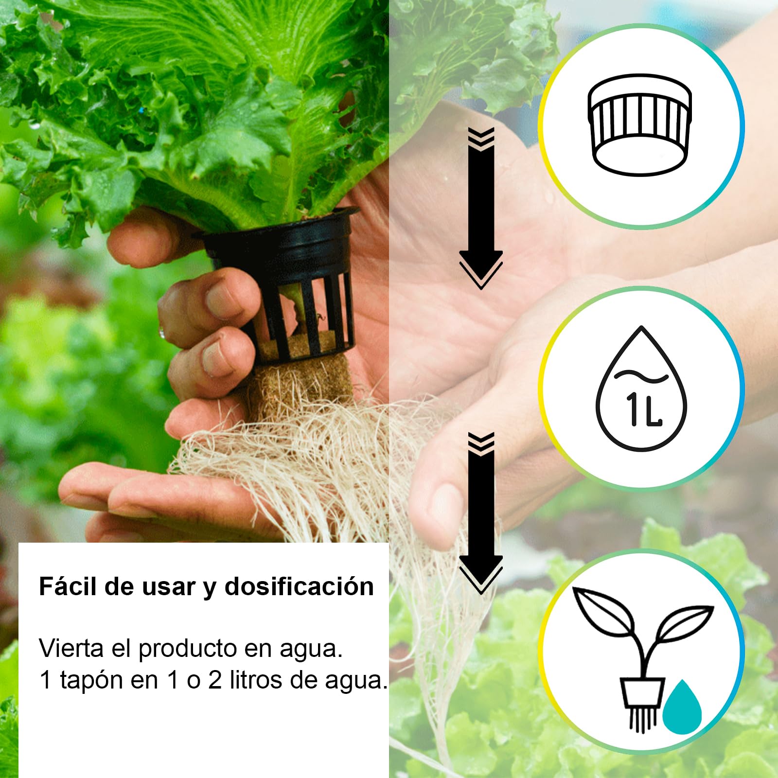 Kalapanta -IDROPON P-MAX abono plantas específico para hidrocultivo y hidroponica estimula el rápido crecimiento natural de las raíces, abono granulado, Envase individual, 1 unidad