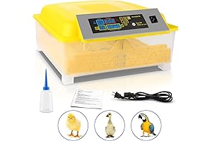 Automatic 48-Egg Chicken Egg Incubator