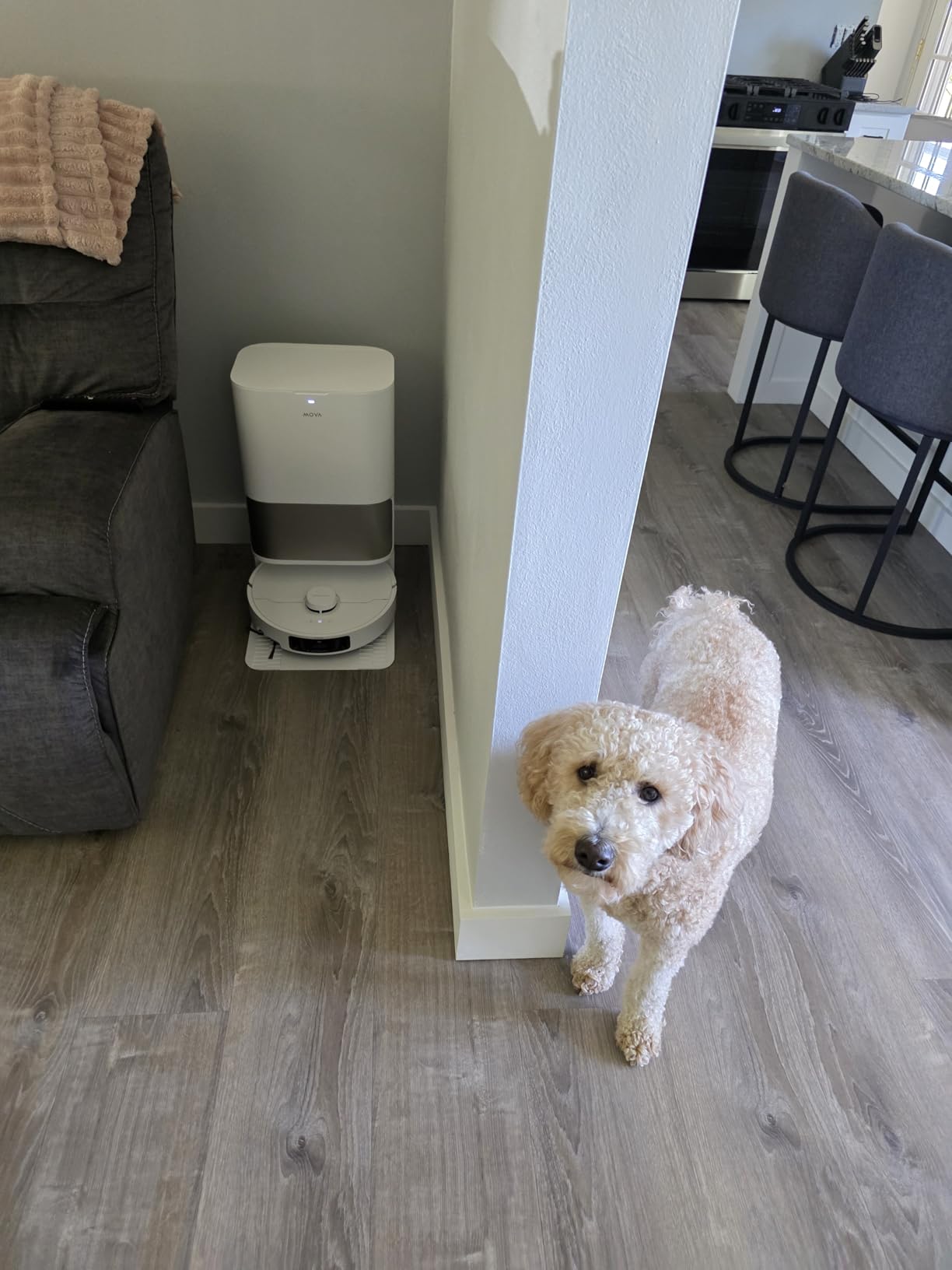 Mova P50 Pro Ultra Robot Vacuum with Removable & Liftable Mop, 19,000Pa Suction with Anti-Tangle Brush, Side Brush Extensive Cleaning, 167℉ Mop & Washboard Self Drying & Cleaning, Auto Empty & Refill photo review
