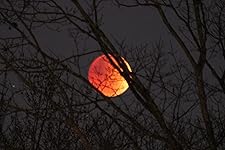 Review Image by Steven A Carpentier Steven A Carpentier