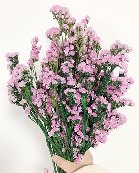 Dried Flowers Sea Lavender Forget-me-not Bouquet, 22 Inch Natural Statice Preserved Flower, Wedding Flower for Arrangements, Home Decor, Party Pink