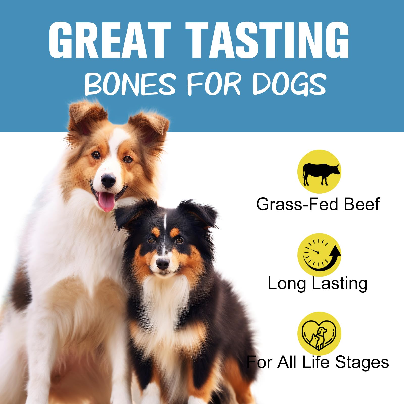 Hueso de Res Natural para Perro, Premio masticable Duradero, ingrediente único, Premio masticable digestible para Salud Dental (Paquete de 3)