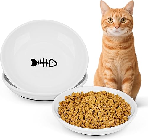 Cuencos de cerámica para gatos, paquete de 2 platos poco profundos para alimentos húmedos, plato de alimentación apto para bigotes con base de