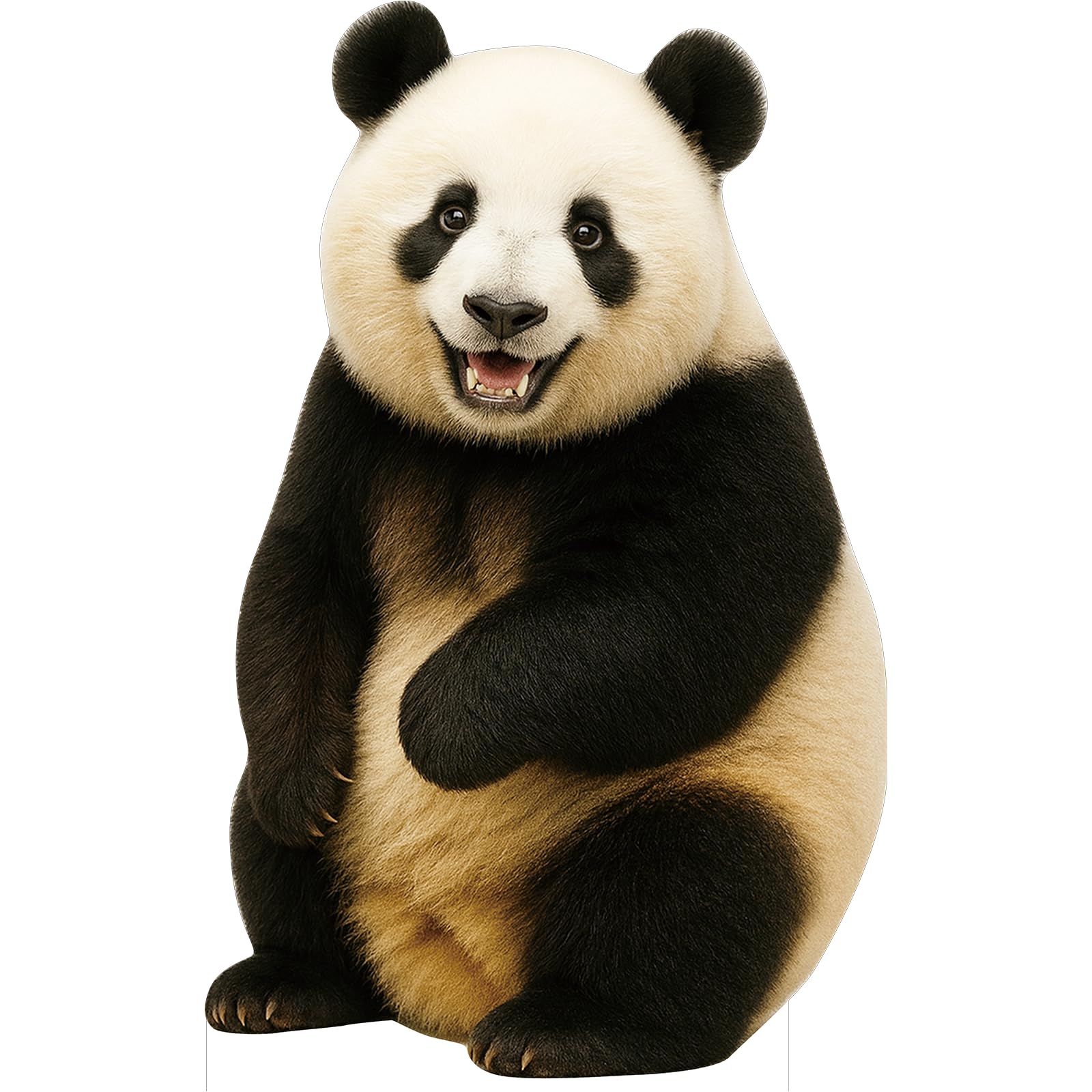 Panda Animal Standup CLife Size ardboard Cutout, 5FT 1 PC