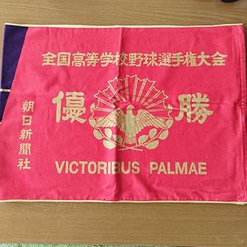 2023年甲子園大会タオル　2点セット 製作実績集 | オリジナルタオルを作りま専科 | ページ 7