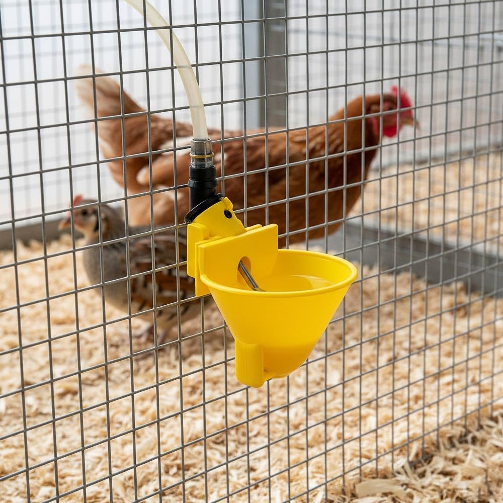 Abbeveratoio automatico per galline e perdici | Confezione da 5 | Collegamento a serbatoio d'acqua | Fissaggio in gabbia | Per pollame, polli, anatre