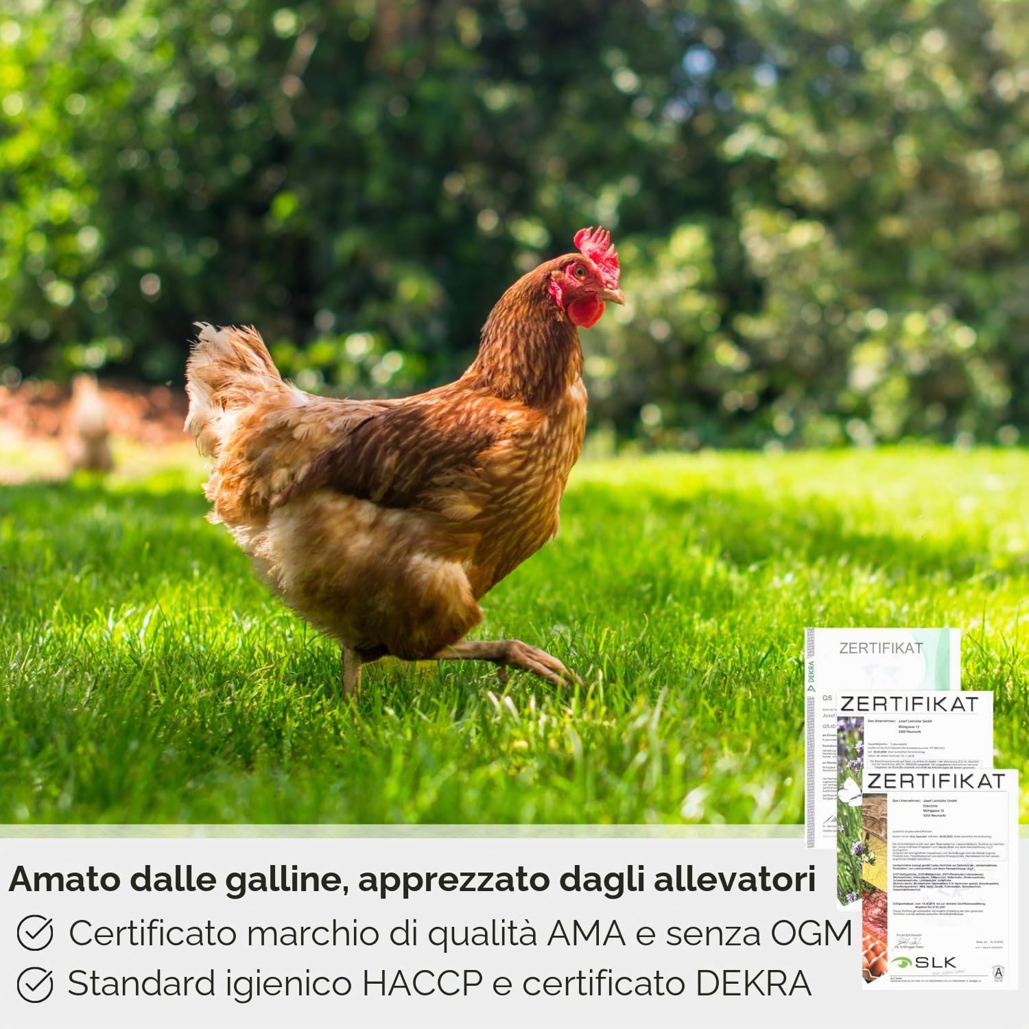 Leimüller Mangime ovaiole 25kg - Alta qualità, 100% naturale, Per ottima produzione di uova - Certificato AMA - Ideale per galline