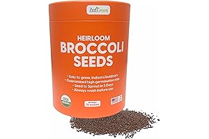 Organic Broccoli Seeds for Sprouting: Heirloom Non-GMO Sprout Seeds with Lid
