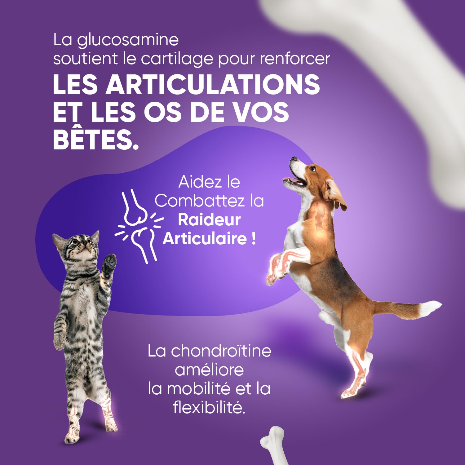 Glucosamine Chondroïtine Chien & Chat -180 Gélules avec Vitamine C, Curcuma, Gingembre, Églantier - sans Odeur, Anti Inflammatoire, Aide d'arthrose, Cartilage, Os, Souplesse, Chondroprotecteur