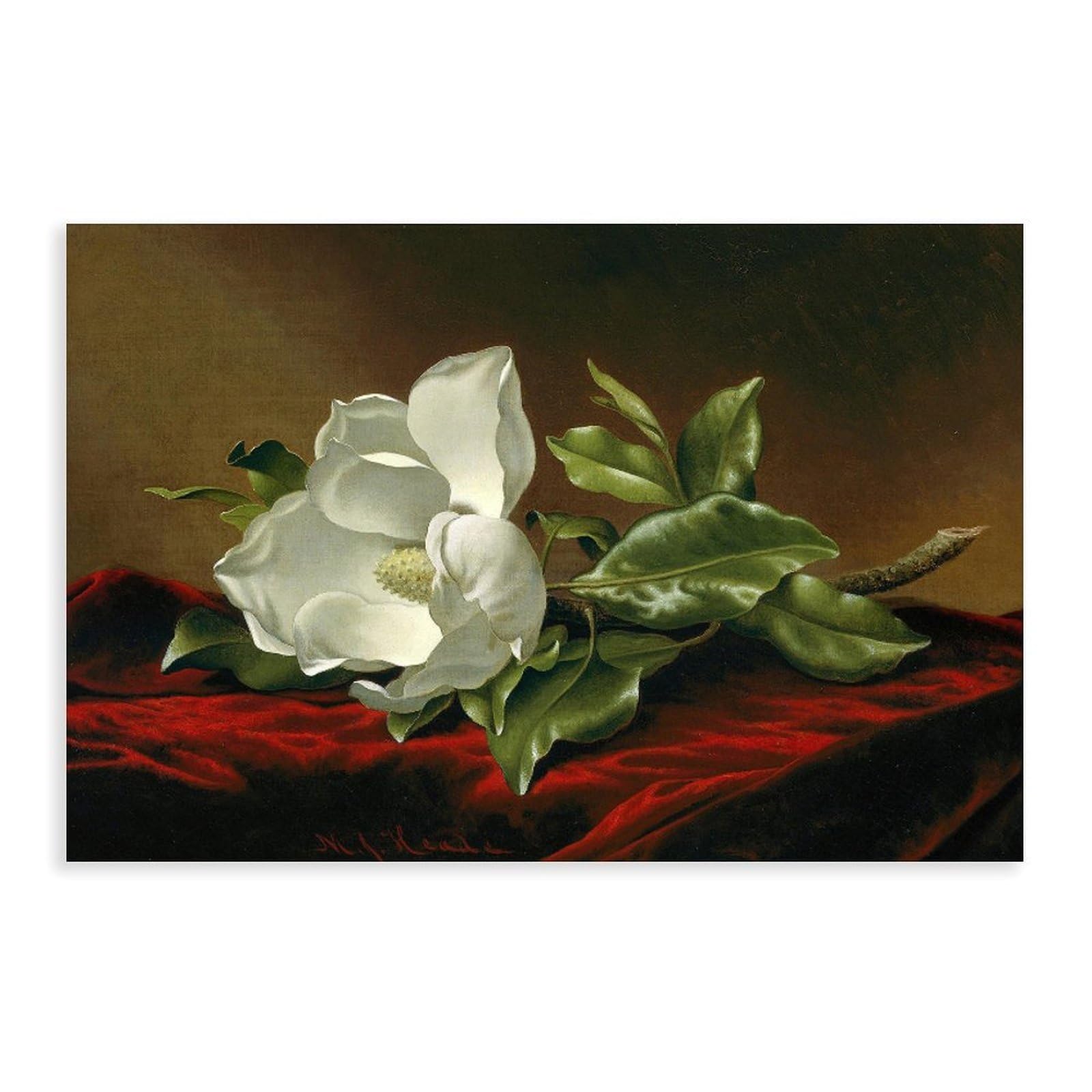 DFJyjFGJJ Martin Johnson Heade,Magnolia Grandiflora Canvas Poster Bedroom Sports Landscape Office Room Decor Gift 24" L X 36" W