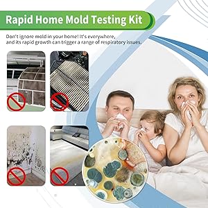 Mold Test Kit for Home with Free Lab Analysis - 5 Simple Detection Tests DIY at Home Mold Air Tester - Test HVAC System,Surface Mold for Home Indoor & Outdoor Air Quality Mold Testing Kits Detector