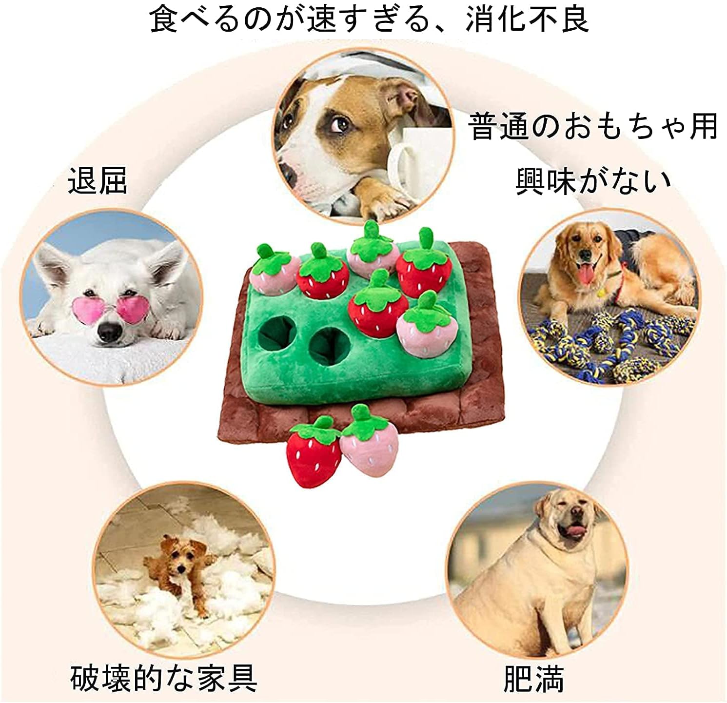 新色追加して再販 イチゴ畑 犬 おもちゃ 知育おもちゃ イチゴ収穫隊 ノーズワークマット 知育玩具 ペット用品 犬用品 犬のおもちゃ 噛む ストレス解消 運動不足 歯磨き イチゴ4個 6個 セット おやつを入れる 丸洗い可能 追加金額があり Qdtek Vn 新色追加して再販 イチゴ畑 犬 おもちゃ 知育おもちゃ イチゴ収穫隊 ノーズワークマット 知育玩具 ペット用品 犬用品 犬のおもちゃ 噛む ストレス解消 運動不足 歯磨き イチゴ4個 6個 セット おやつを入れる 丸洗い可能 追加金額があり Qdtek Vn