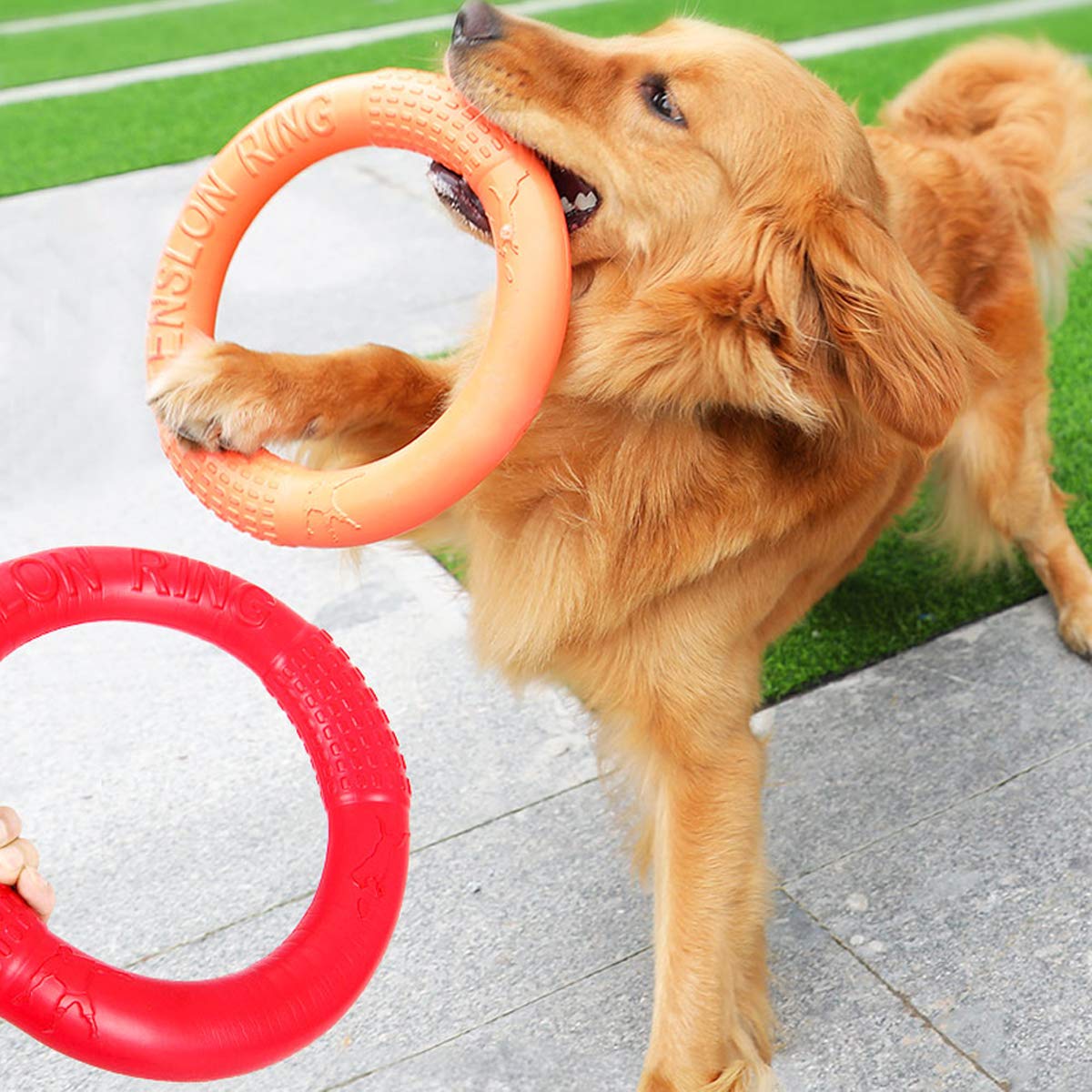PETCUTE Gry dla zwierząt domowych dla psów pierścień frisbee pies frisbees sprowadzanie zabawki obręcze pies rzucanie pies zabawki dla dużych psów 2 sztuki