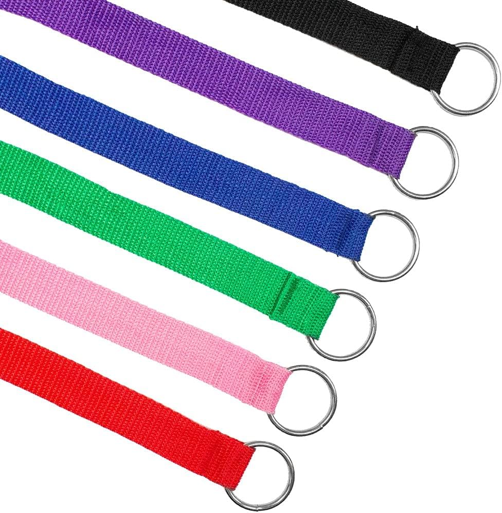 Downtown Pet Supply Slip Lead Dog Leash 120 Pack, 4' x 1/2" - Universal Dog Slip Leash with Metal O Ring - Machine Washable for Groomers, Shelters, Rescues, Vets, or Doggy Daycares