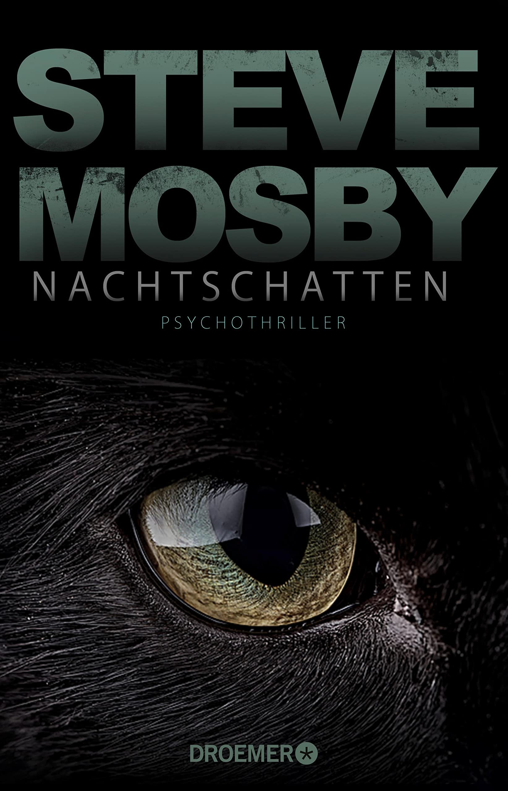 Nachtschatten: Psychothriller (German Edition)