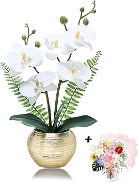 14in Artificial White Orchid in Golden Vase & Greeting Card for Home Decor