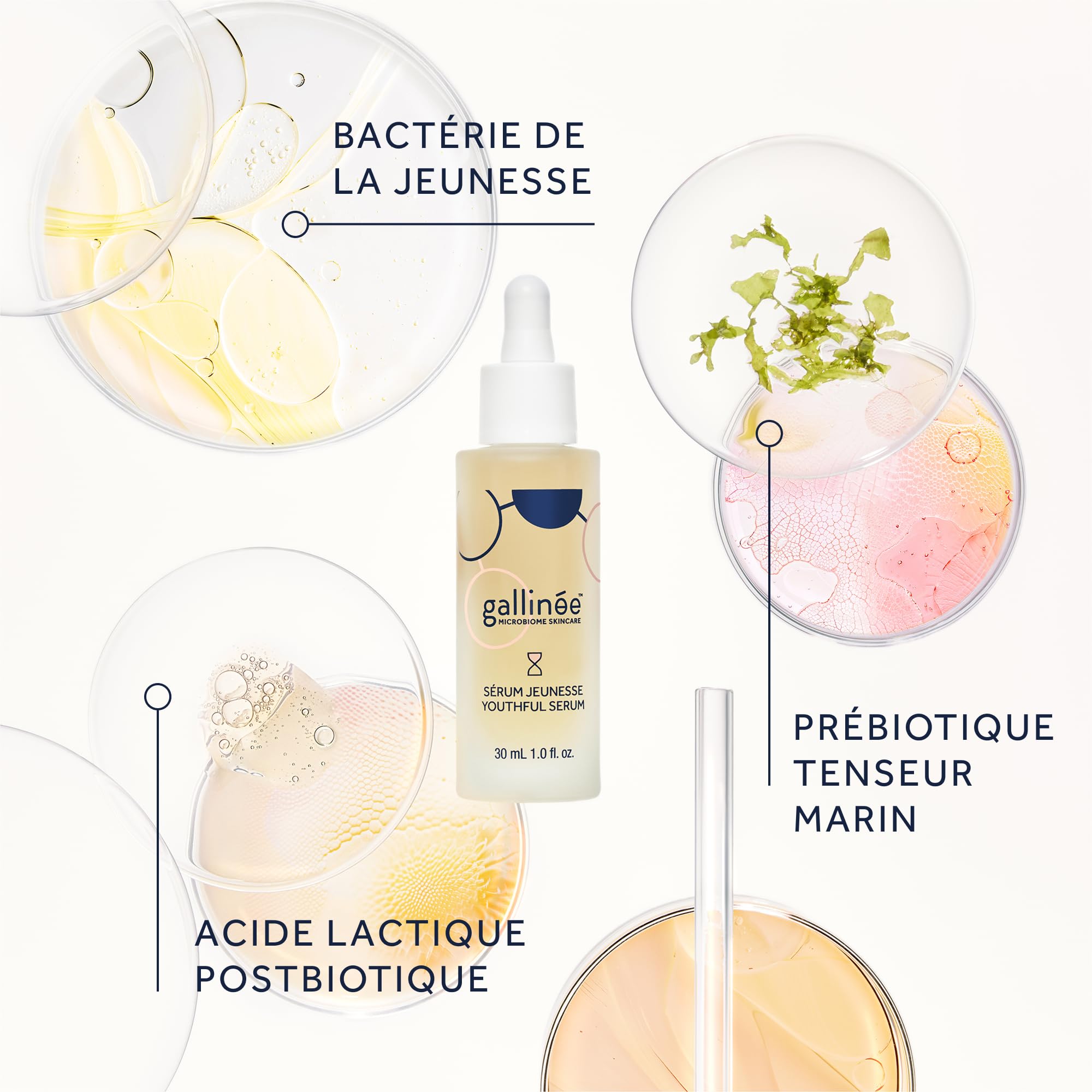 Gallinée - Sérum Visage Jeunesse avec Postbiotique et Acide Lactique - Anti-Âge & Anti Rides - Sérum Hydratant Visage - Testé Dermatologiquement Fabriqué en France - Tous Types de Peau - 30 ml