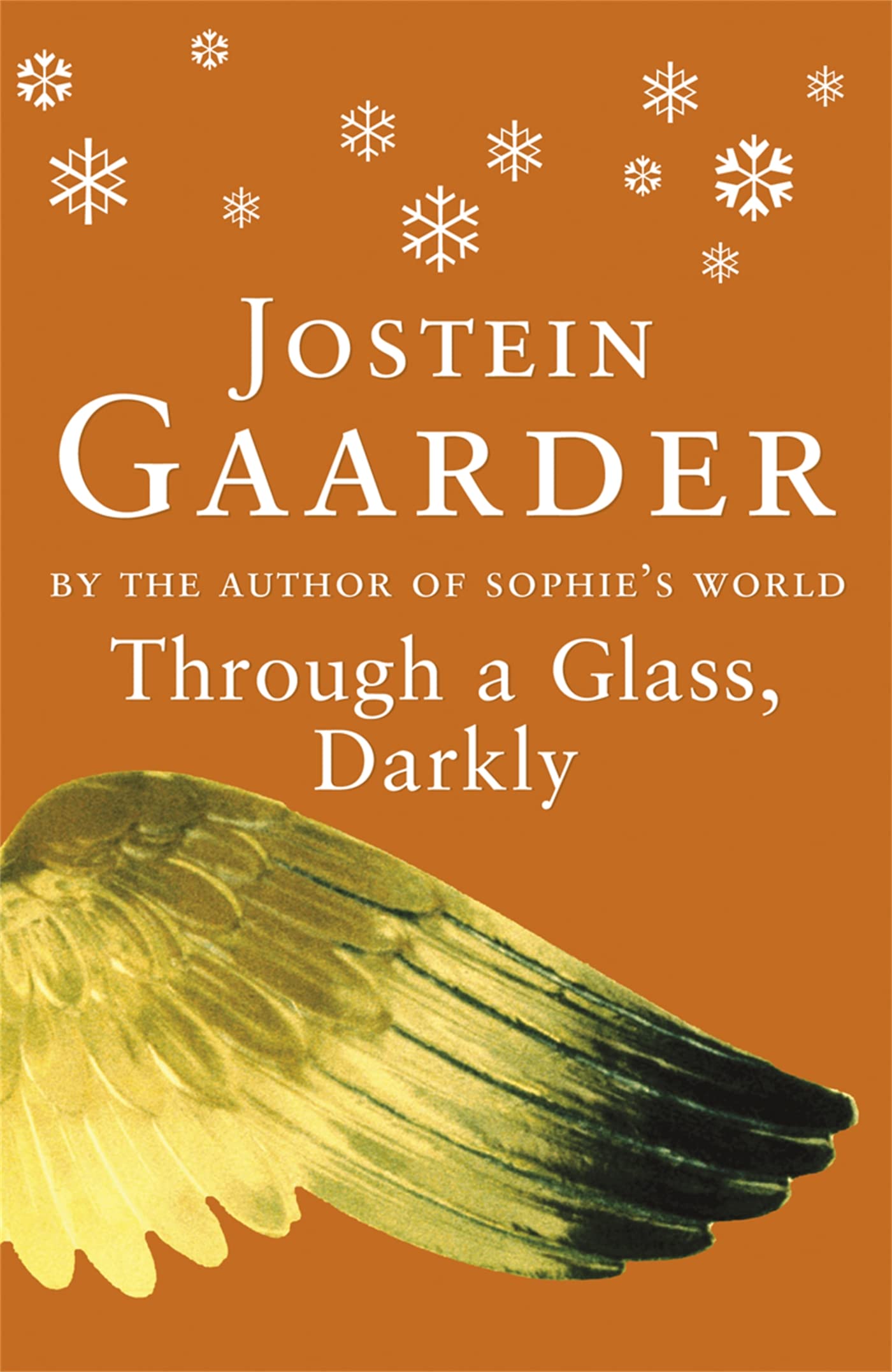 Through A Glass, Darkly-Jostein Gaarder