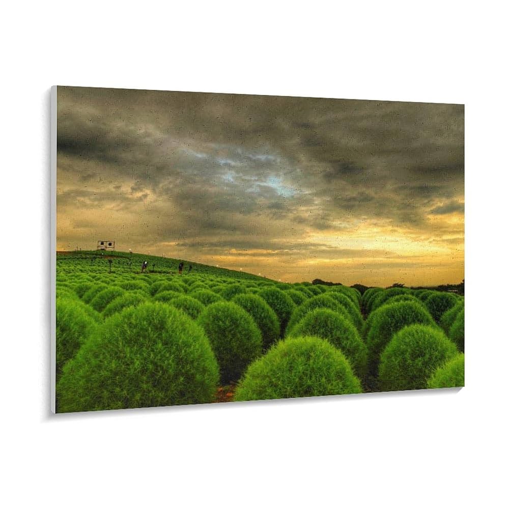 Amazon | 茨城県 夕空コキア国立ひたち海浜公園 数字キット