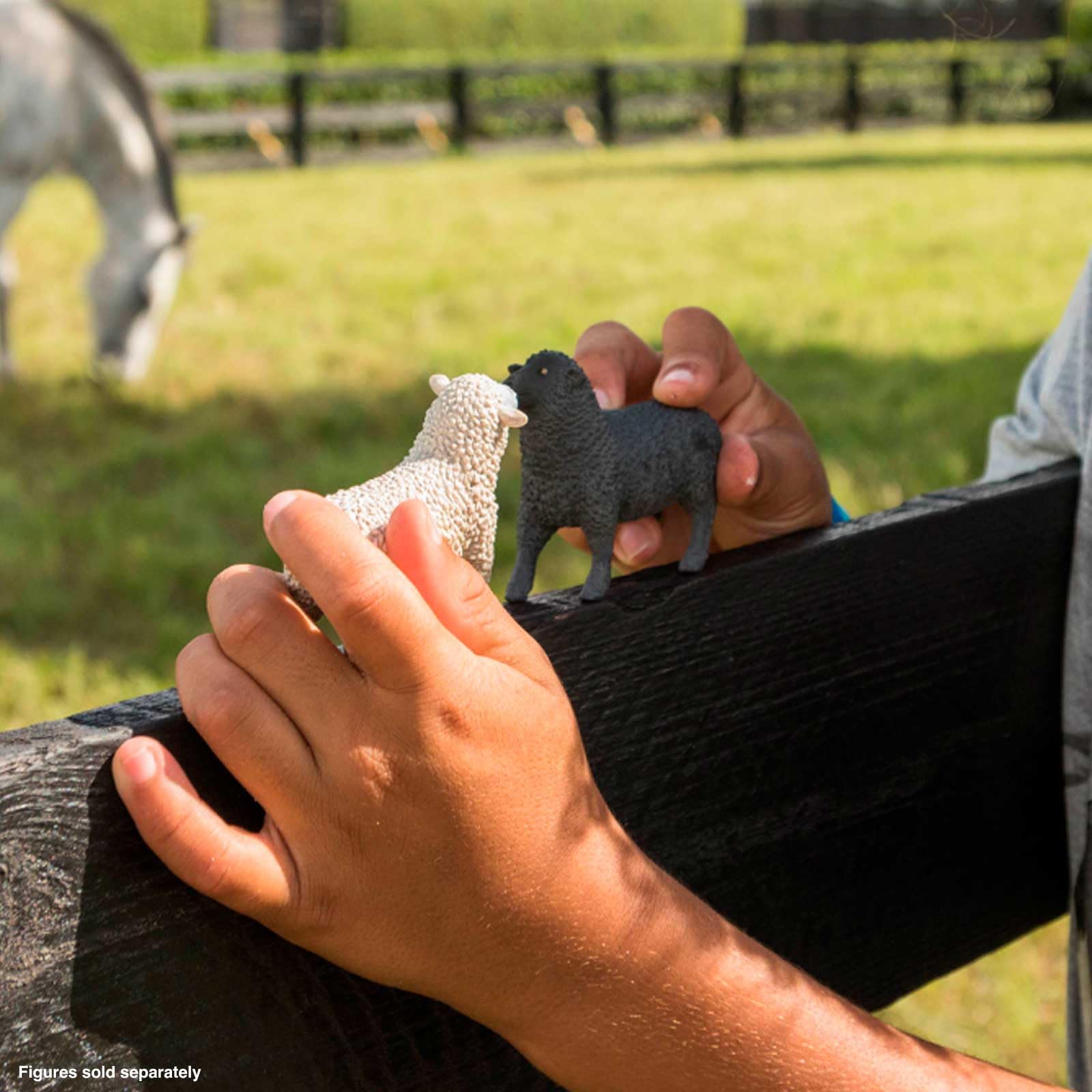 Amazon.com: Safari Ltd. Sheep Figurine - Lifelike 3.25