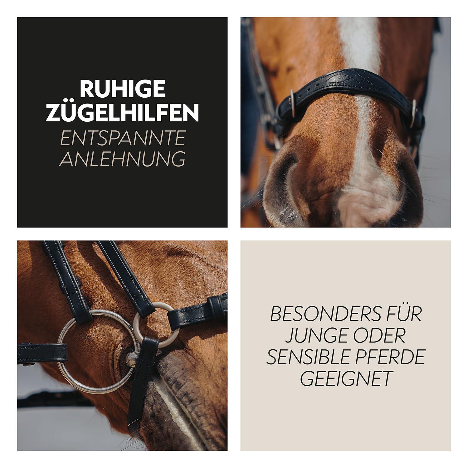 SUNRIDE Brida hannoveriana (Hannover) con riendas de Cuero Genuino Montar de Forma Relajada (Pony, marrón)