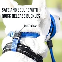 Vista 5 de GoodBoy - Cabestro con correa de seguridad para cabeza de perro, evita que se tiren de la correa, con acolchado para tamaños pequeños, medianos