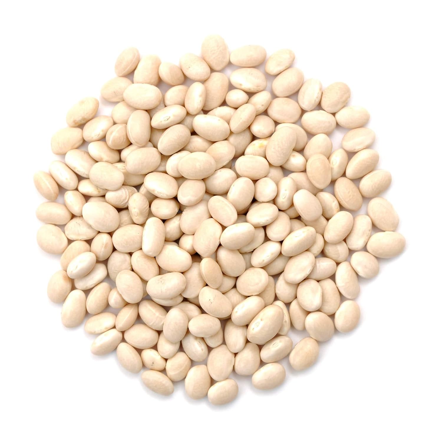 Organic Navy Beans - Mountain High Organics USA - Small White Creamy Mild - Boston Baked Beans Soups Stews Chili - Vegan Non-GMO (5 LB)