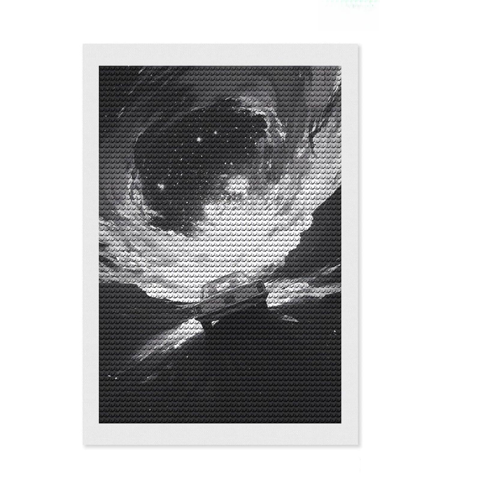 Junmoney Mystic Horizon DIY Diamond Art Canvas Kit 8"x12", for Teens, Full Kit Included, Cosy Home Accent, Birthday Gift, Printed Canvas