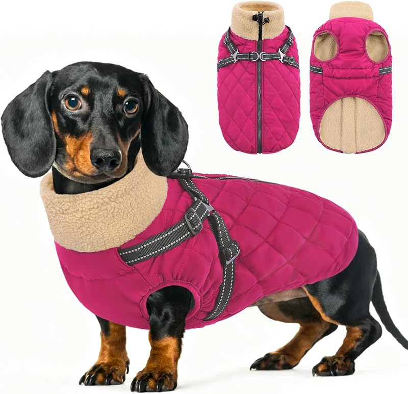 Casaco de Inverno para Cães Queenmore com Peitoral Integrado e Zíper – Tamanho S