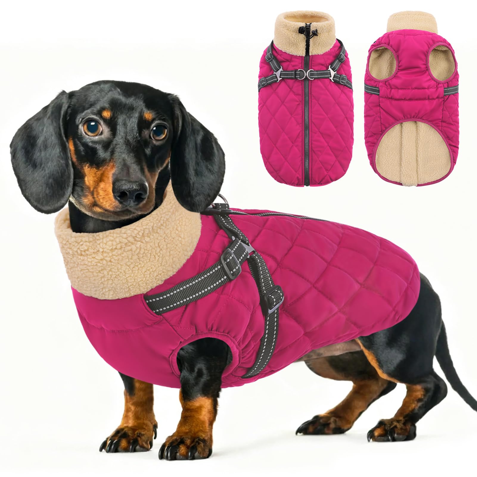 Queenmore Small Dog Coat Waterproof, Warm Fleece Lined,Reflective, XS — image 1