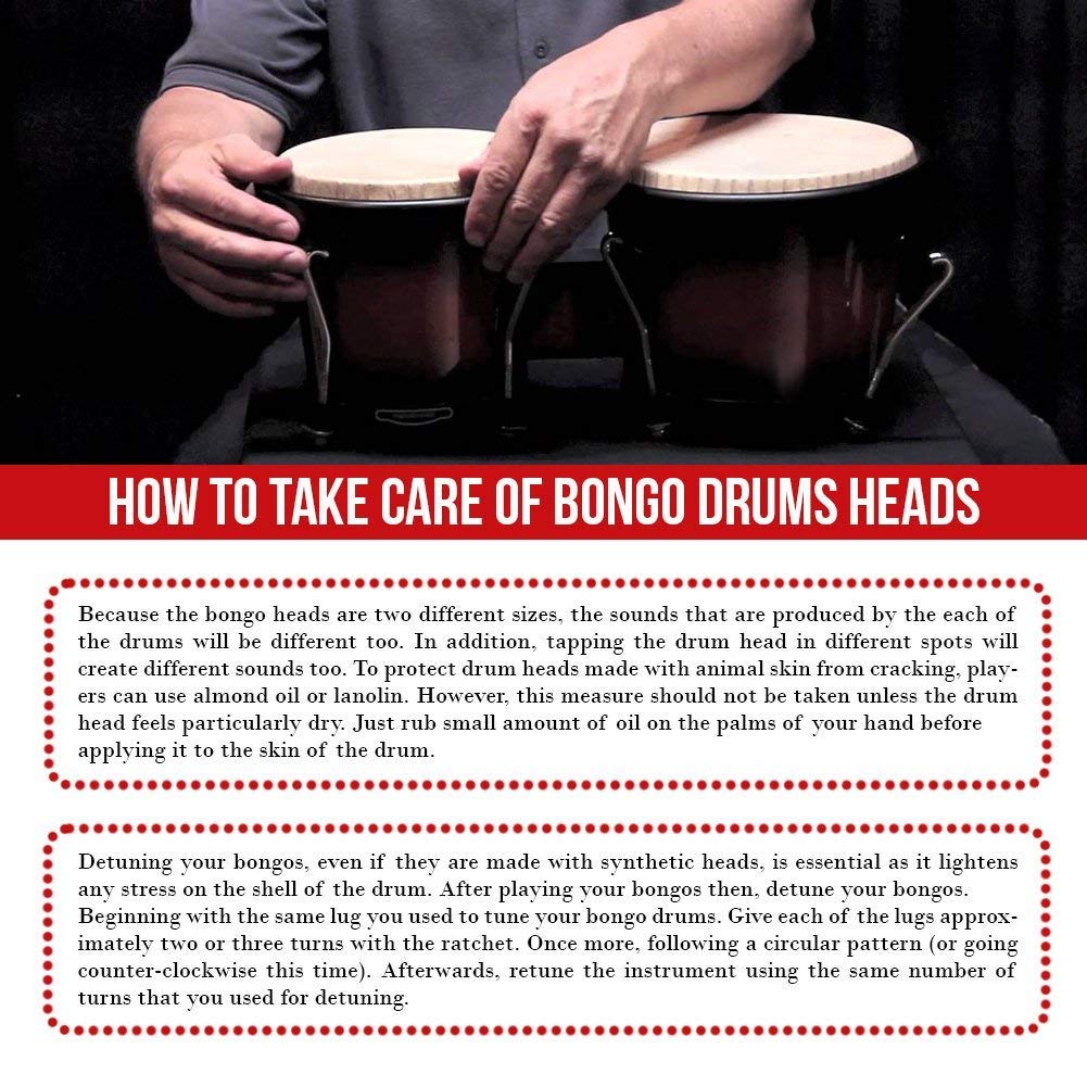 Buy Hip Bongo Drums Bongo Heads Replacement Pack 5.6" and 6.4