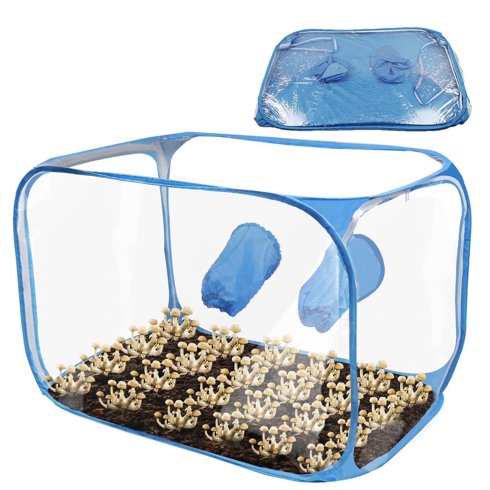 Tente de Culture Champignons Station Plantation Pliable Pop Design
