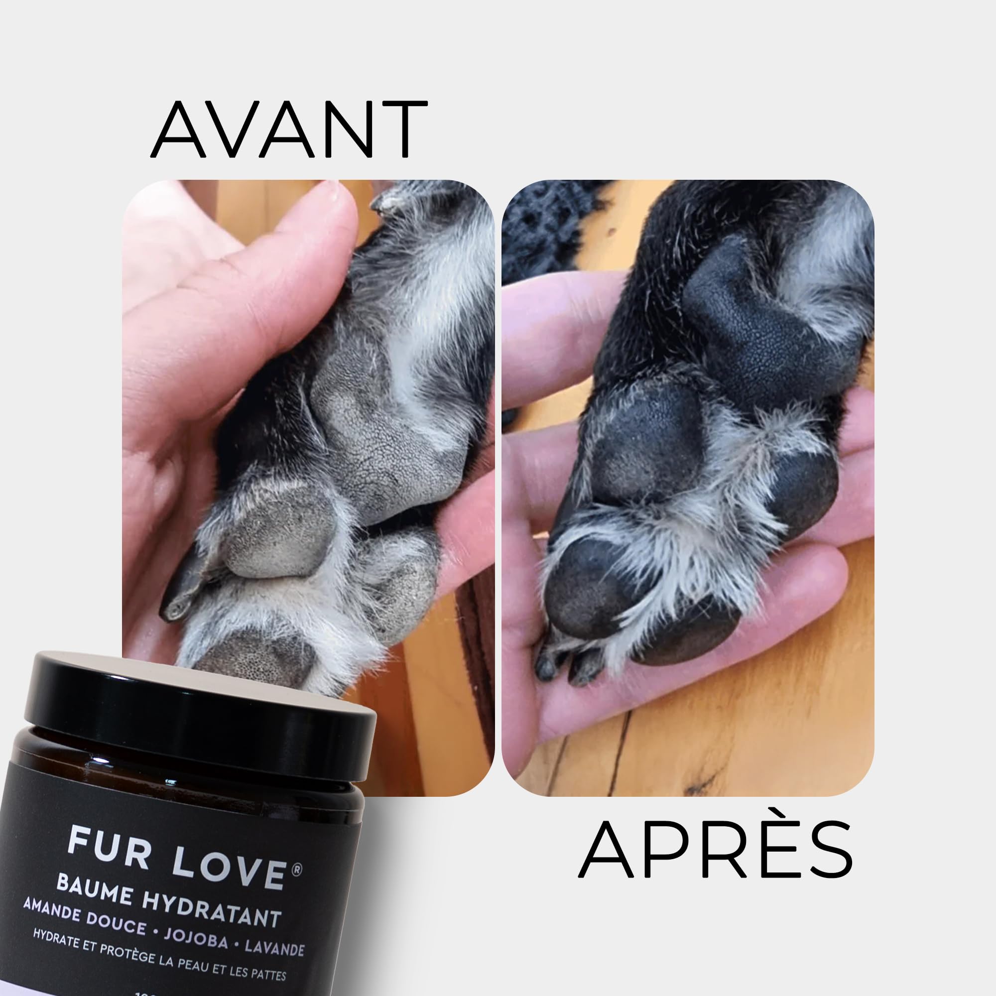 Baume Coussinet Truffe Chien - Soin Hydratant Zones Sèches – Cire D’Abeille, Huiles Apaisantes – Protection Pattes Peau Irritée – Soin Nourrissant, Protecteur Quotidien