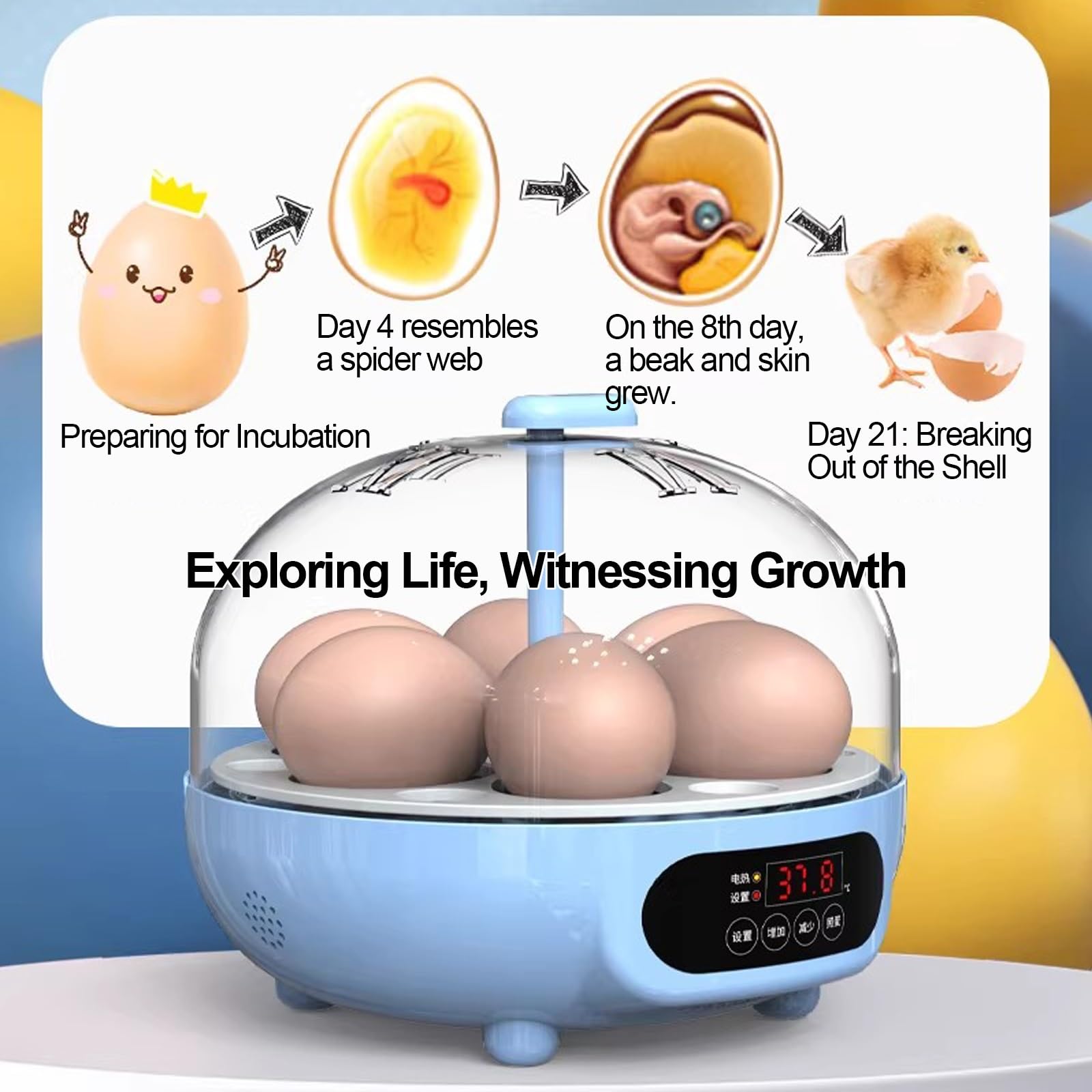 Mini Incubadora de Huevos con Volteo y Humedad Automáticos, Ovoscopio y Rellenado Automático de Agua; para Huevos de Gallina, Pato, Codorniz y Loro(6 Eggs)