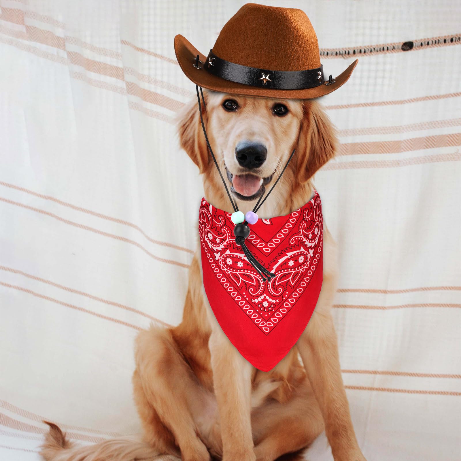 Cappello da cowboy marrone per cani SPEDIZIONE GRATUITA - Italia