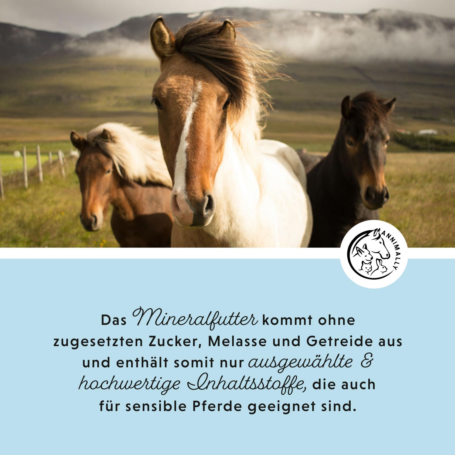 Mineralfutter Pferde organisch getreidefrei 3 kg - getreidefreies Ergänzungs Pferdefutter mit Vitaminen, Mineralstoffen und Spurenelementen, wie Zink, Selen, Omega 3 und Jod (3 kg Eimer)