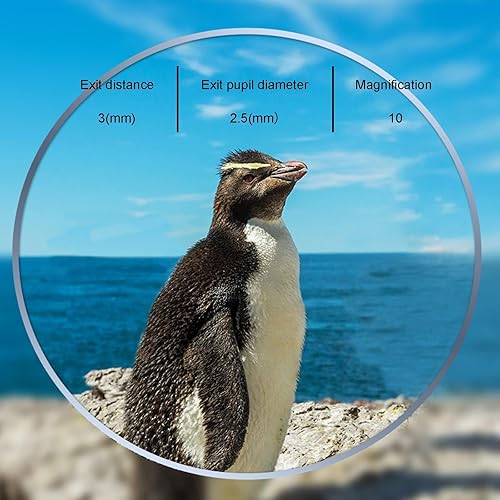 Miniatura 7 de Prismáticos de alta potencia de 22 x 40, prismáticos ligeros y portátiles, binoculares ajustables de gran visión, prismáticos duraderos para