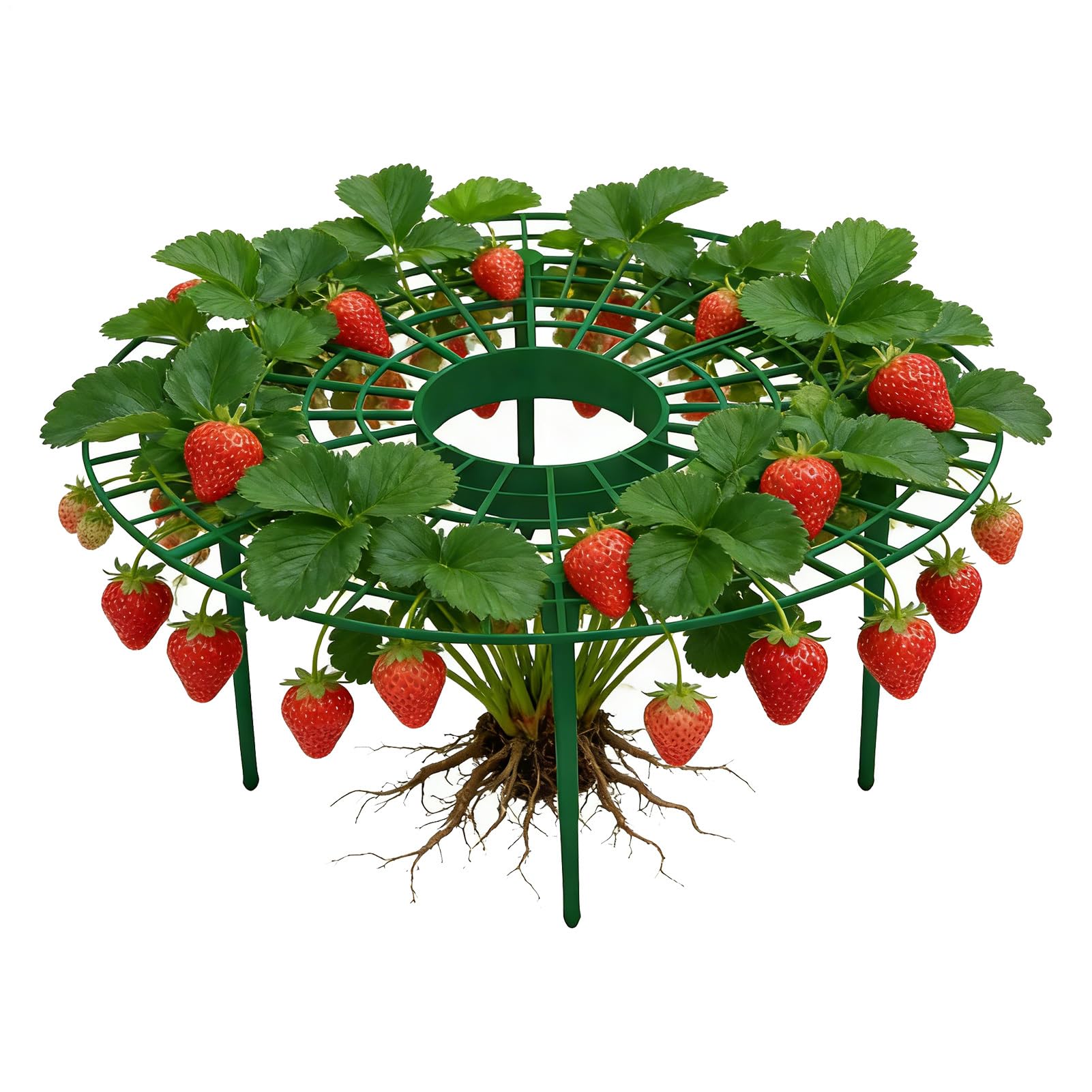 Strawberry Plant Support - Adjustable Growing Stand, 30cm Trellis Frame, Fruit Protection Ground Cage, Heavy Duty All-Season Gardening Prop Tool | For Vegetable Flower Vine Patio Yard
