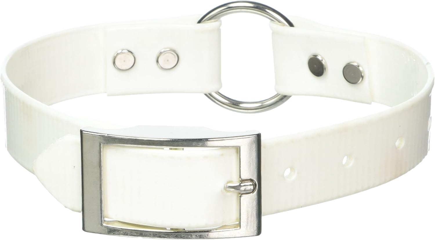 SunGlo Ring-in-Center Dog Collar, 1" Wide, White, Fits 12"- 15.5" Neck Sizes, Vibrant Colors & Tough Construction for Active Dogs