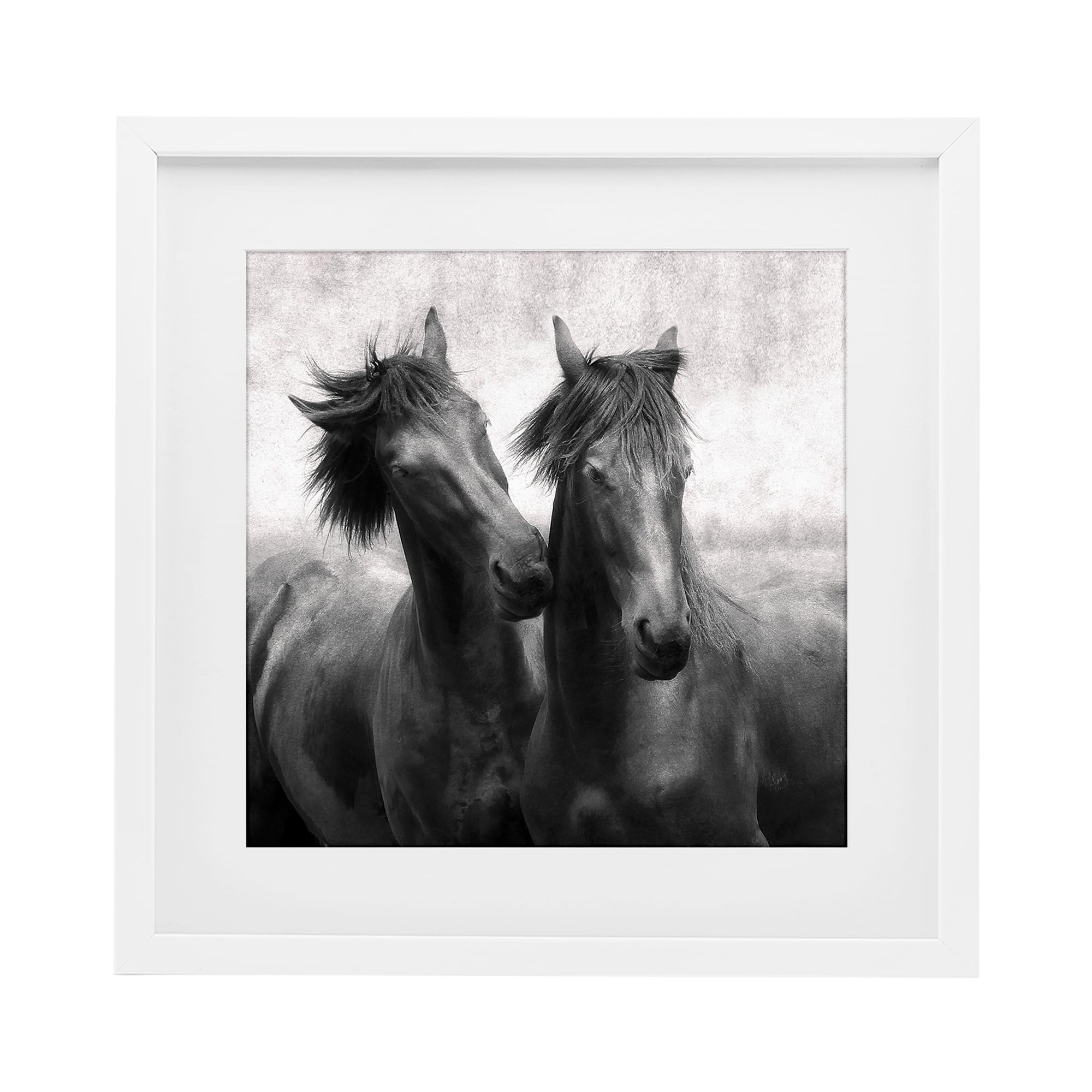 'Short Haired Horse Pair'| Framed Print Under Glass
