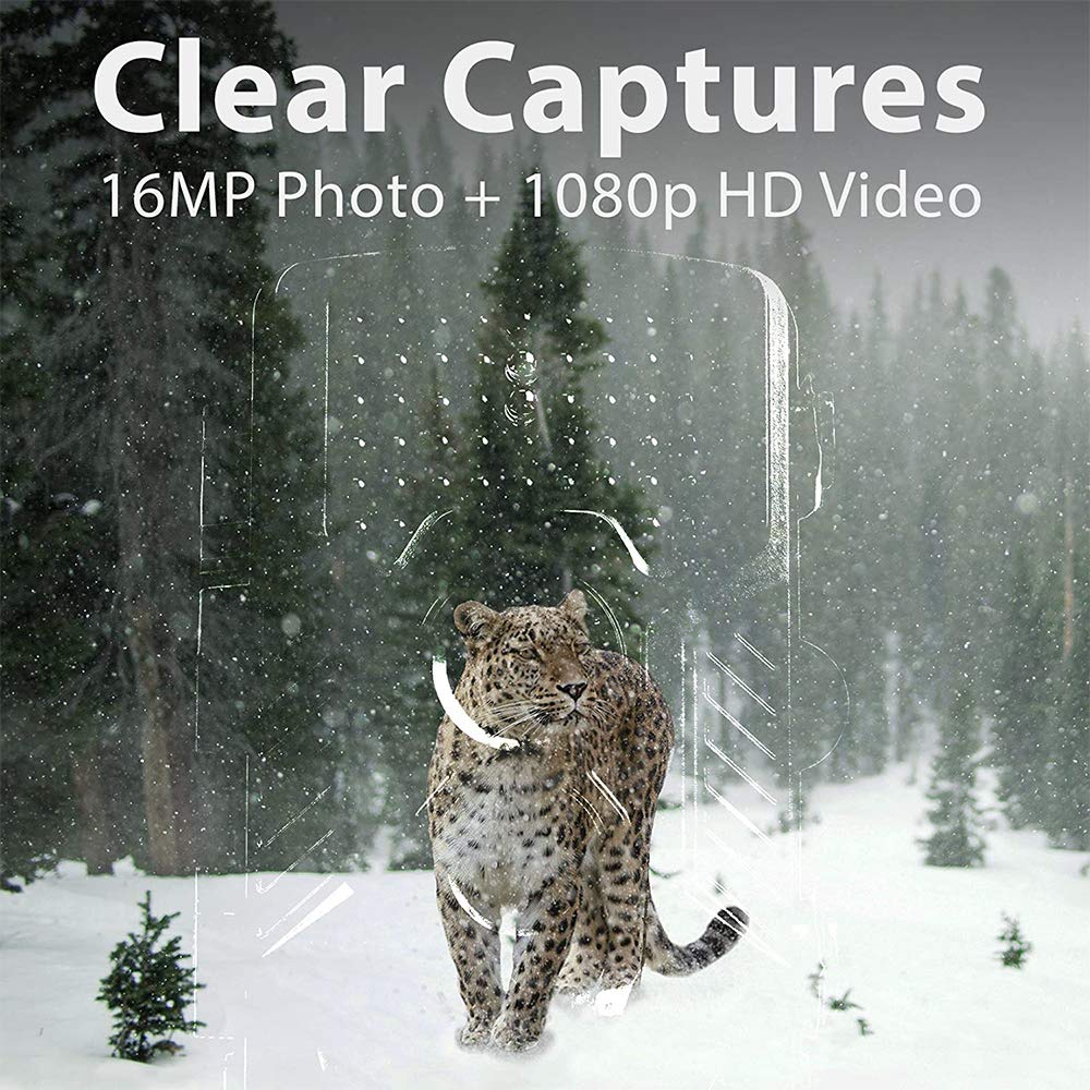 BraveKing Wildkamera 16MP 1080P Jagdkamera Nachtsicht 82ft/25M 0,2s Bewegungsmelder 120° Weitwinkel 2.4" LCD Display IP66 Wasserdicht IR Überwachungskamera mit Solarpanel und 32G Speicherkarte