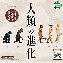 人類の進化 [全5種セット(フルコンプ)] ガチャガチャ ガチャ カプセルトイ