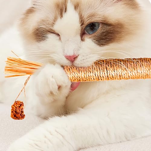 Miniatura 7 de Silvervine - Palitos para gatos, 15 piezas de juguete Silvervine para gatos envueltos con hierba gatera natural, cepillo de dientes para gatos,