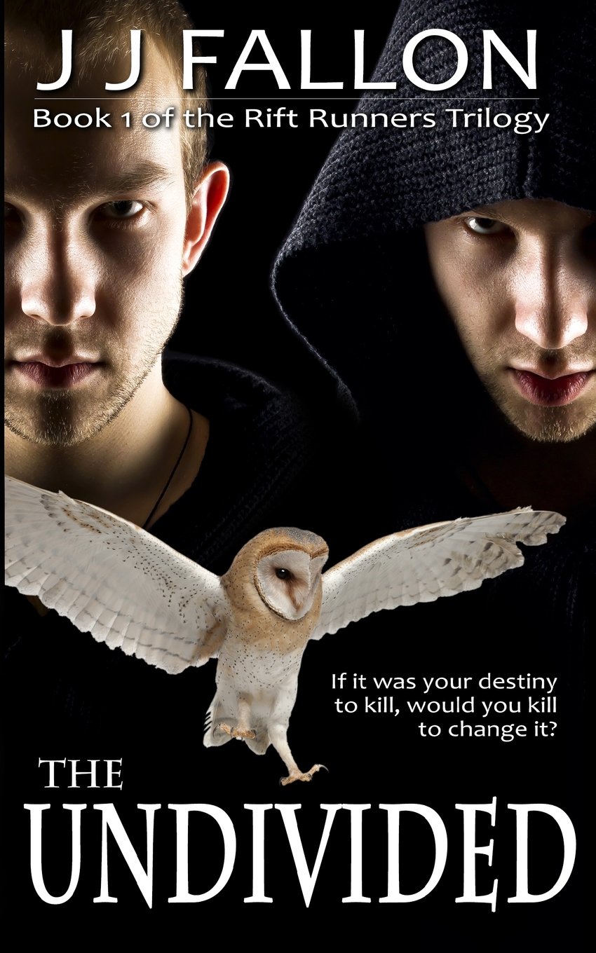 Cover of The Undivided