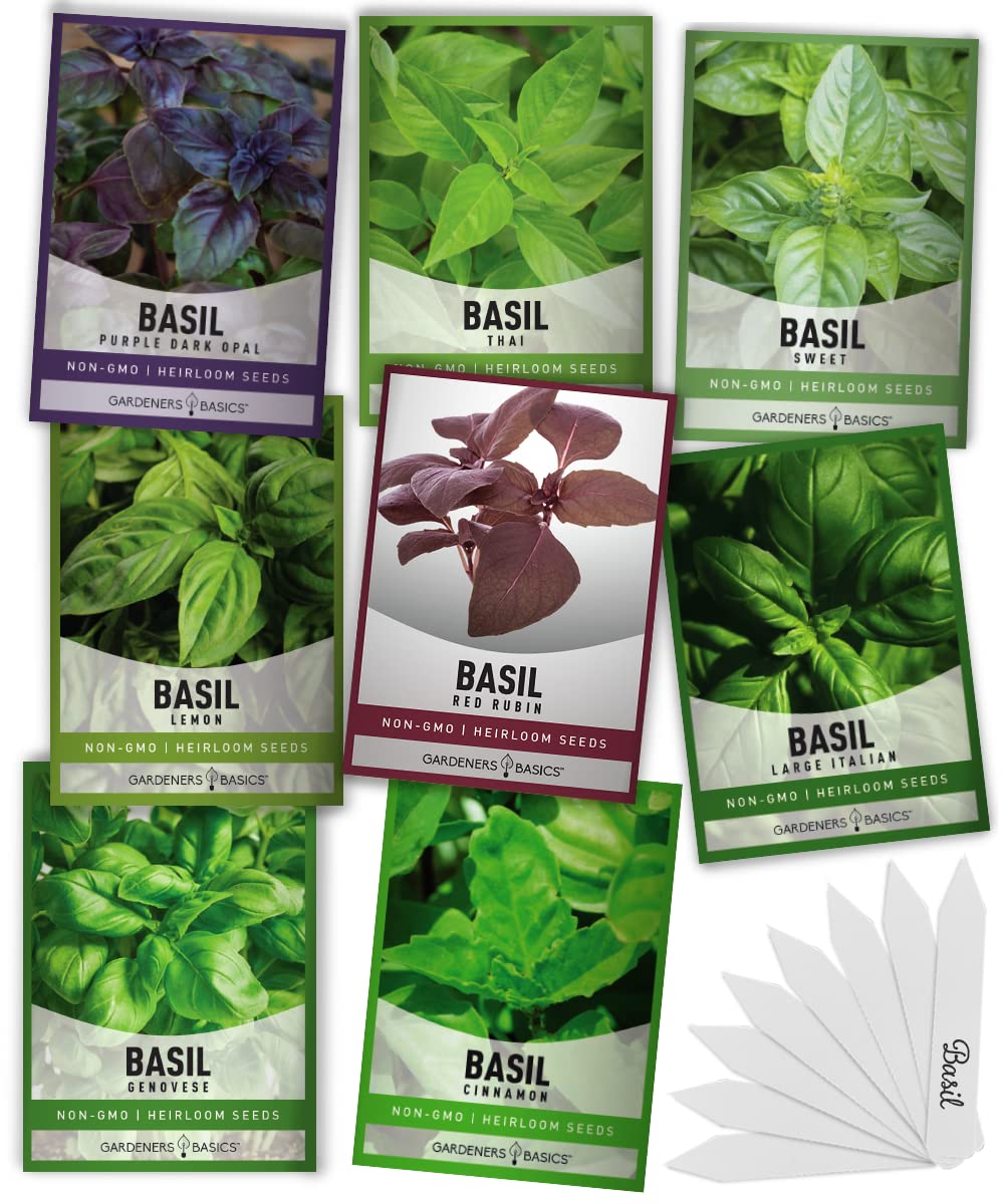 Gardeners Basics 8 Variety Basil Seeds Pack