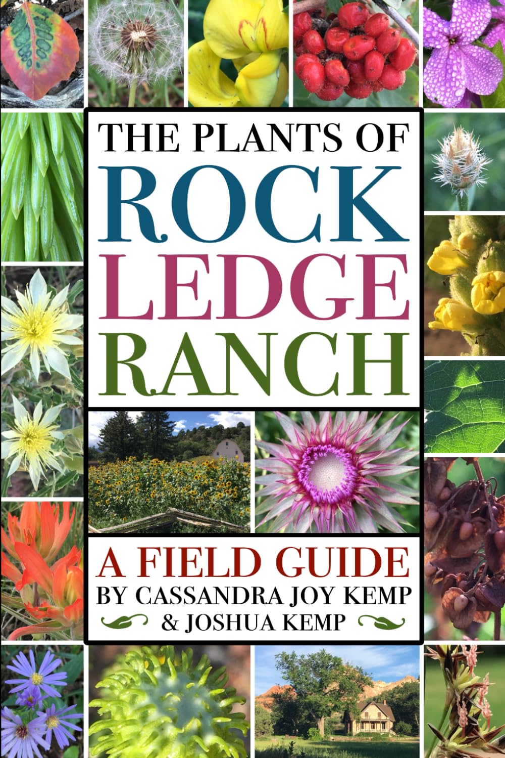 The Plants of Rock Ledge Ranch: A Field Guide