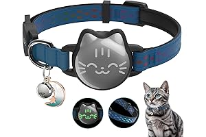 Unleash Peace of Mind: Jiobit Cat Tracker for Boundless Adventures