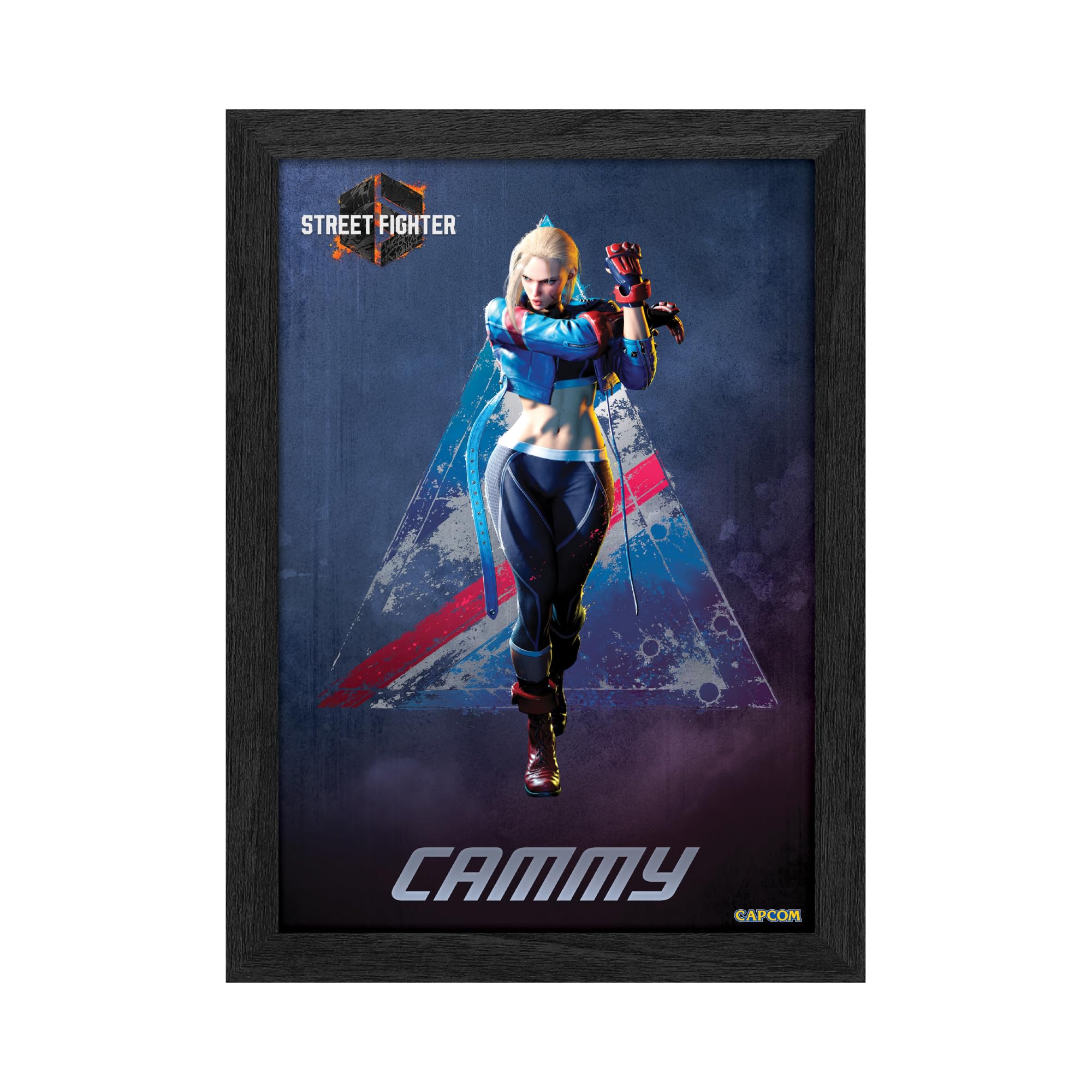 Amazon.com: Level Up Labs Pixel Frames PLAX: Street Fighter 6