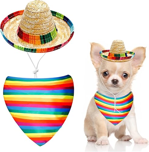 Sombrero de perro y bufanda triangular para perro, babero, sombrero multicolor, disfraz de arco iris, toalla de boca para mascotas pequeñas,