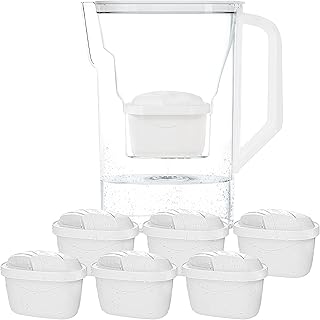 Wessper Wasserfilter Kanne mit Filter, Kühlschranktürkanne 2,7 Liter, Filterkartuschen mit Aktivkohle und Ionenaustauscherharz, Set Kanne und 6 Wasser Filter - Weiß